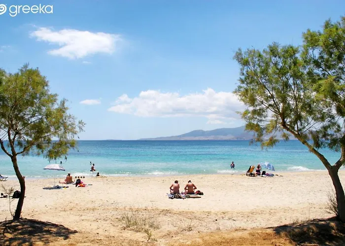 Country house Naxian Touch